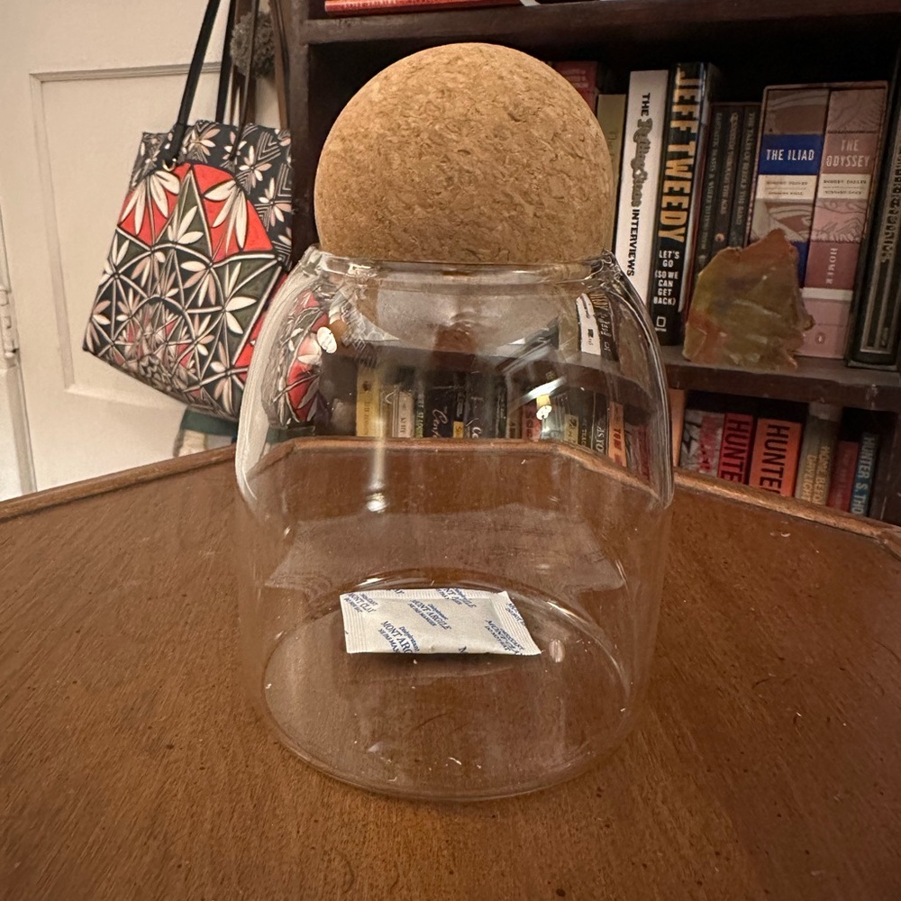 Short St_ries Small Glass Storage Jar